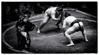 Z8S_3174-Edit