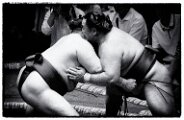Z8S_3444-Edit
