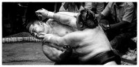 Z8S_3512-Edit