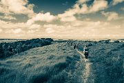 _DSC7039