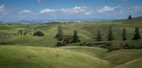 _DSC7058