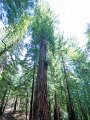 GN8_9007-Pano