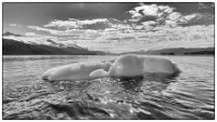 20220602_101329-Edit