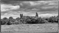 GN8_2805-Edit